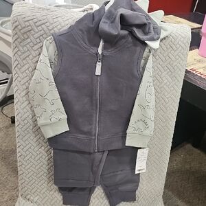 Carter's Dinosaur Hoodie and Jogger Set - Gray and Green